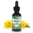 Nature 's Answer Mullein Herb - Mullein Leaf Extract for Lungs - Alcohol Free, Non GMO, USA - Respiratory Function & Promotes 건강한 Lungs - Mullein Leaf 1 Ounce Extract를 지원합니다.