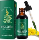 붕소, 멀린 리프 붕소 드롭 | 2 fl oz | Lungs Detox 및 Respiratory Lung Health, Respiratory, Natural Herbal Supplement의 Mullein Leaf Extract