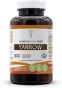 Tribe Yarrow USDA Organic의 비밀 | 채식 캡슐 및 공인 유기농 Yarrow (Achillea millefolium) 잎과 꽃 (120 캡슐)로 만든
