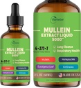 Lungs, Organic Mullein Leaf & Honeysuckle & Eucalyptus Leaf & Echinacea Extracts, Lung Cleanse, Immune & Respiratory Support, Sugar-Free | Non-GMO | Vegan, 2 Fl oz