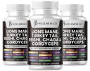 Lions Mane Supplement Cognitive Support, 터키 꼬리 20in1 버섯 Reishi Cordyceps Chaga with Marshmallow Root -180 Count