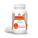 프리미엄 매스틱 껌 캡슐 - 자연적인 위장 지원 보충교재, 서빙 당 1000mg - 120의 캡슐 (1개의 병)
