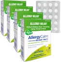 Boiron AllergyCalm Tablets 240 Count, 알레르기 및 Hay Fever Symptoms of Sneezing, Runny Nose, Itchy Eyes, Throat, Allergy Calm Tabs (Formerly RhinAllergy) (4 60ct 상자의 포장)