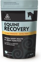 PURICA Equine Hyaluronic 산 - Glucosamine, MSM 분말, Betaine, 마그네슘, 비타민 C 및 E - 녹차와 포도씨 추출물 - 말 공급 및 대우를 가진 말 합동 지원 보충교재