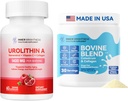 근육 힘 + Bovine Colostrum & Gut 건강, 면역 지원, 머리 성장 & 아름다움 보충교재를 위한 교원질 분말을 위한 Urolithin 보충교재 1000 MG