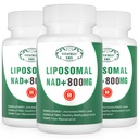 NAD+ 보충교재 Liposomal NAD+ 세포 에너지, 건강한 시효 및 근육 수선을 위한 800MG 니코틴아미드 Riboside 대안 플러스 180의 캡슐 (포장 3)