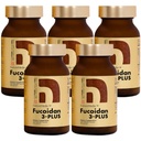 Fucoidan 3-Plus Brown Seaweed Immunity 보충 3 종류의 높은 순도 Fucoidan 유기 Mekabu Fucus Mozuku Agaricus 일본 (Vegetable 캡슐, 5 병)