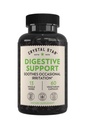 Crystal Star Digestive Support Supplement (60 캡슐) - Occasional Gas & Bloating - Peppermint, Aloe Vera, Slippery Elm & Ginger와 함께하는 초본 Gut 건강 보충 - Non-GMO