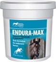 Kentucky 성과 Endura-Max 말, 5 파운드를 위한 전해질 보충교재