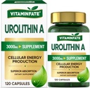 3000 MG Urolithin 보충 - 120의 캡슐은 산화 방지제, 강화된 건강한 시효, Mitochondrial, 남자 & 여자를 위한 세포 수선을 지원합니다