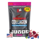 PhysiVantage Supercharged 교원질 펩티드 분말 - 합동을 위한 가수분해된 교원질, Tendon, Ligament, & 피부 건강 지원 - 석류, Keto, Paleo, 16oz | 비타민 C, BCAA, 잔디 먹이는