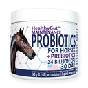 건강한 GutTM Probiotics for Horse Dietary Supplement, All-Natural Digestive System Maintenance 공식 (30일)