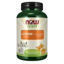 NOW 애완 동물 건강, L-Lysine 보충, 분말, 고양이, NASC 인증, 8-Ounce에 대 한 공식화