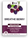 호흡 Berry Boysenberry 자연적인 건강한 Lungs 보충교재, 지원 가슴 Congestion, Mucus 및 Boosts 전반적인 호흡 웰니스 건강한 Lungs 보충교재