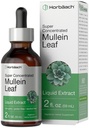 Horbäach Mullein Leaf Extract Drops | 2 fl oz | 알코올 무료 액체 Tincture | 채식주의, 비 GMO 및 글루텐 무료 초본 보충