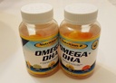 오메가 플러스 DHA 필수 지방산 - 순수한 오메가 3 지방산 - Chia Oil + DHA - Gummies - 십대, 남성, 여성 EFA 그리고 DHA 보충교재