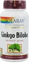 Ginkgo Biloba 추출물