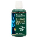 Nature Plus Ultra Rx-Joint Liquid, Honey Lemon - 30 fl oz - Glucosamine, Chondroitin 및 MSM과 함께 건강한 관절 기능을 지원합니다 - 글루텐 무료 - 30 서빙