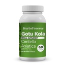 Herbsforever Gotu Kola 캡슐 | Centella Asiatica Herbal Supplement, 800 mg 각 | 60 Veg Capsules for Mental Clarity, Focus | 전체 웰빙 지원
