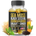 Sea Moss, Black Seed Oil, Ashwagandha, Ginger, Elderberry, Chlorophyll, Turmeric Bladderwrack Sea Moss Gummies 고급 강도 포뮬러가있는 Shilajit Gummies - 미국 제작 (60 Gummies)