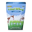 Immune Vitality, 천연 향 2.5lbs (56 서빙), Serve 당 15g 단백질, Vital Whey, Clean Holistic, Wellness Nutrition