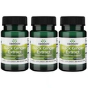 Swanson Black Ginger Extract - 건강한 혈액 순환 및 물리적 활력을 촉진합니다. 5 월 원조 심장 건강, 근육 조직 및 정신 웰빙 - (30 Veggie 캡슐, 100mg 각각) (3 팩)