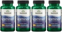 Swanson 최대 힘 Graminex 꽃 화분 추출물 - 지원 전립선 건강, 유린 Tract 기능 및 신장 건강 - 남성 건강 보충교재 - (60의 캡슐, 500mg 각각) (4 팩)