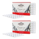 Altai Shilajit 120 정제 산 Balsam 상표 - 본래 Altai Siberian 100% 순수한 Fulvic 산 및 추적 무기물