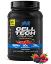 MuscleTech 크레아틴 Monohydrate 분말 세포 기술 크레아틴 포스트 운동 회복 남자를 위한 음료 근육 건축업자 & 여자 근육 건물 보충교재 과일 펀치, 3개 lbs (27 봉사)