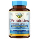 Terranics Probiotics 60 Billion CFU, 20 Strains, 60 Veg 캡슐, Prebiotics & Probiotics, 남자 & 여자를 위한 선반 안정되어 있는 Probiotic 보충교재, 소화 & 면역성 건강, 비 GMO, 아니 Soy, 낙농장 & 글루텐