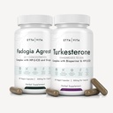 Fadogia Agrestis 600mg + Turkesterone 500mg 번들 (2X 더 순수한 - 20% Std 추출물) BioPerine & Hydroxypropyl-Beta-Cyclodextrin를 가진 3X 흡수성 건강한 근육 회복, Stamina - Vegan