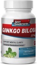기억과 초점을위한 두뇌 보조 식품 - Ginkgo BILOBA 120MG - Gingko biloba Plant, 성인, Gingko biloba Supplements, Ginko biloba Pills Natural, Memory Supplement - 1B 60 Caps