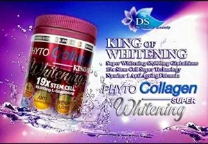 Phyto Collagen Whitening 19X STEM CELL 노화 방지 직업적인 희게하는 결과 에너지