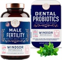 WINDSOR BOTANICALS 남성 불임 보충 및 치과 Probiotics 건강 및 웰빙 번들