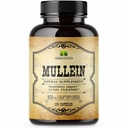 Lungs에 대한 HERBALICIOUS Mullein 잎 추출물 - 흡연자와 호흡 지원을위한 Lung Detox - Lung Cleanse, Detox 및 Digestive Wellness를위한 초본 보충 - Vegan, Non-GMO, 100 캡슐