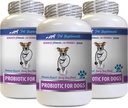 우물과 좋은 개 설사 - 개를위한 PROBIOTICS - 건강한 구트 - 가스 설사 및 나쁜 숨 중지 - 소화 부스트 - 개 probiotics 설사 - 3 병 (180 치료)