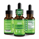 프리미엄 Chlorophyll 액체 드롭 - 100 % 천연 및 글루텐 무료 액체 클로로필 - 비 GMO, 118 서빙