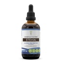 Tribe Stevia Alcohol-Free Tincture (Glycerite) 653 mg의 비밀 Stevia (Stevia Rebaudiana) 건조 잎 (4 Fl Oz) 혈액 설탕 보충