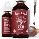 Hodgins Harvest Organic Reishi 버섯 과일 바디 추출물 Tincture - 추가 농축 이중 추출물 보충 - 심장 건강 및 웰빙 지원 - USDA 유기농 버섯 - 4 oz