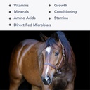 Mega-Mag (35lb) Alfalfa Hay Diets에 대한 균형 멀티 비타민 / 남성 보충 ...