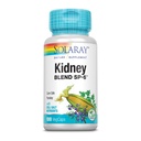 SOLARAY Kidney Blend SP-6 | 허브 블렌드 w/Cell Salt Nutrients to help Support 건강한 Kidney Function | 비 GMO, 비건 (1 팩)