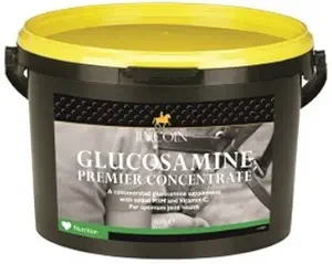 Lincoln Glucosamine Premium Concentrate Horse Supplement - 600g (결합 및 연골의 최적 건강)