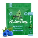 워터보이 운동 히드라이즈 | 2,960mg 슈가프리 일렉트로테 파우더 패킷 | L-Glutamine + Vitamin | No Sugar, All Natural, Gluten Free | 15 음료 스틱 믹스 (블루 라즈베리)