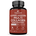 Wholesome Wellness Super-Absorb 멀티 콜라겐 알약 (유형 I II III V X) 유기농 허브 & Bioperine - 헤어, 피부, 손톱 - 가수 분해 펩타이드 단백질 보충 여성 및 남성 (90 캡슐)