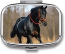 Pill Box 휴대용 알약 케이스 for Pocket Horse on Lawn Travel Small Pill 주최자 2 Compartment Metal Pill Container Holder for Medicine Vitamins Fish Oil Supplements