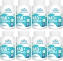 Liposomal NAD+ 보충교재 1000 mg | 가장 높은 NAD Pontecy | 최대 흡수 | 순수한 NAD 보충교재 | 에너지와 DNA 수선, 노후화, 뇌 기능 | 480 Softgels