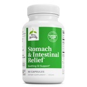 Terry Naturally Stomach & Intestinal Relief - Aid Digestive Health & Intestinal Lining에 보충 - Soothe Stomach에 대한 Occasional Digestive Discomfort에 대한 보조 - 60 캡슐