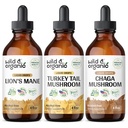 Wild & Organic Lion's Mane, 터키 꼬리 & Chaga 버섯 통