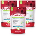 개를위한 Proflora Probiotic Soft Chews - 수의-Strength Daily Probiotic - 소화 건강 - 부스트 면역 체계 - 피부와 외투 건강 - 180 Soft Chews
