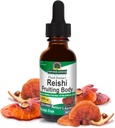 자연의 대답 알콜 자유로운 Reishi 추출물 과일 몸, 1-Fluid Ounce 액체 추출물 면역 체계 건축업자